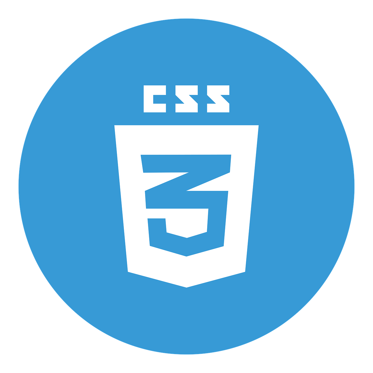 CSS3 web development logo representing modern and responsive website styling services in Canada